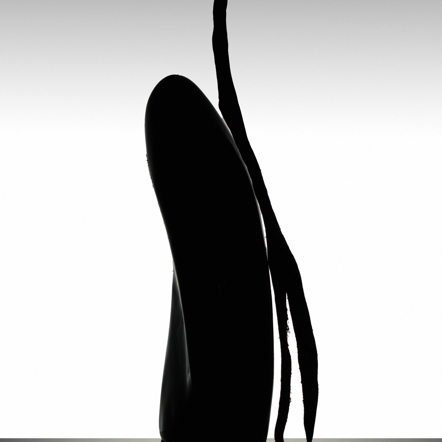 Vanille fendue et givrée de Sulawesi sélectionnée pour la haute gastronomie.