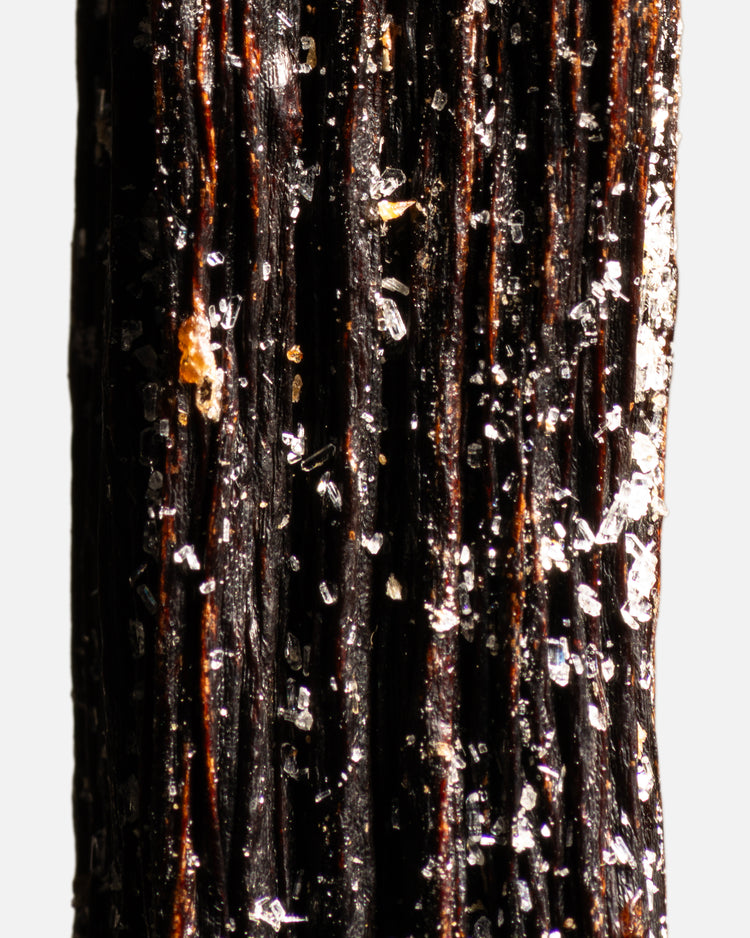 Vanille planifolia givrée de Guadeloupe