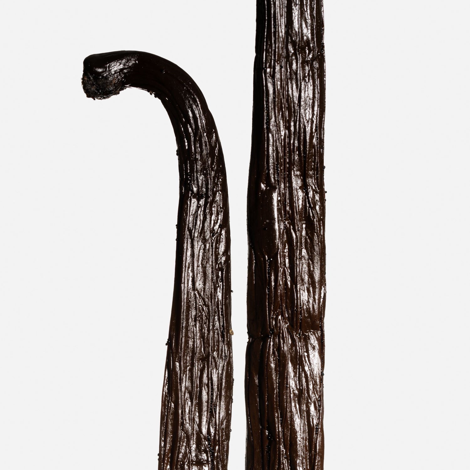 Gousses de vanille Bourbon de Madagascar de variété Planifolia, noires et brillantes.