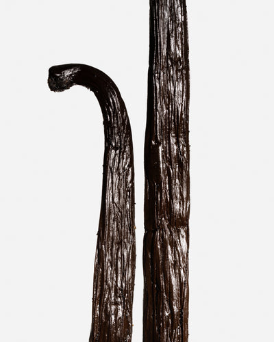 Vanille planifolia Bourbon de Madagascar