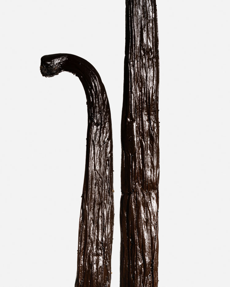 Vanille planifolia Bourbon de Madagascar