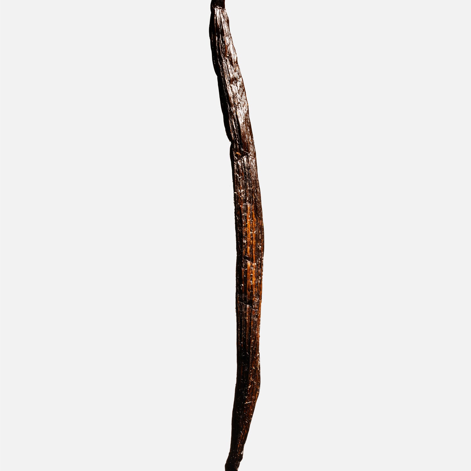 Gousse entière de vanille Odorata d’Équateur, silhouette fine et cristaux de vanilline — Galand Vanille