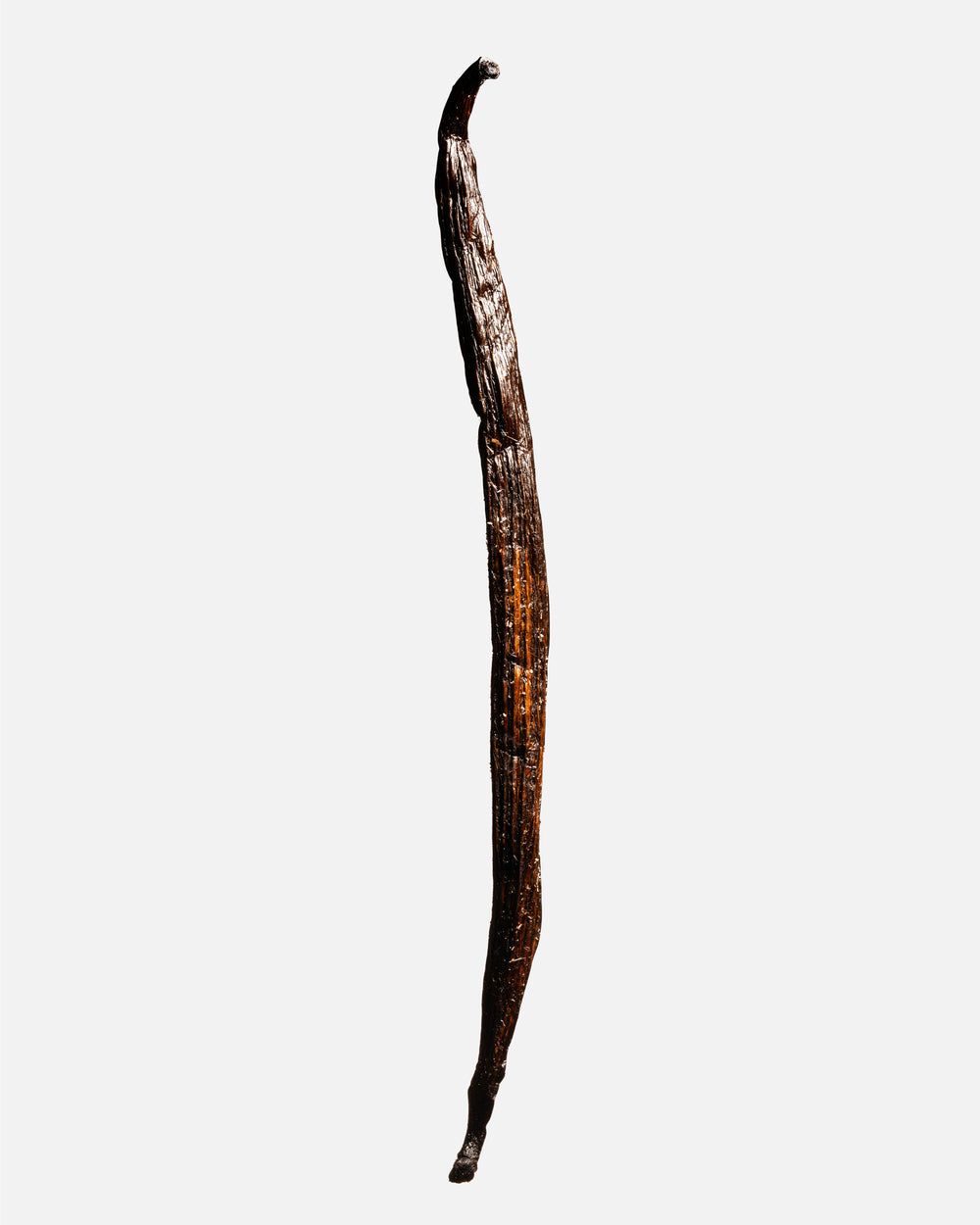 Gousse entière de vanille Odorata d’Équateur, silhouette fine et cristaux de vanilline — Galand Vanille
