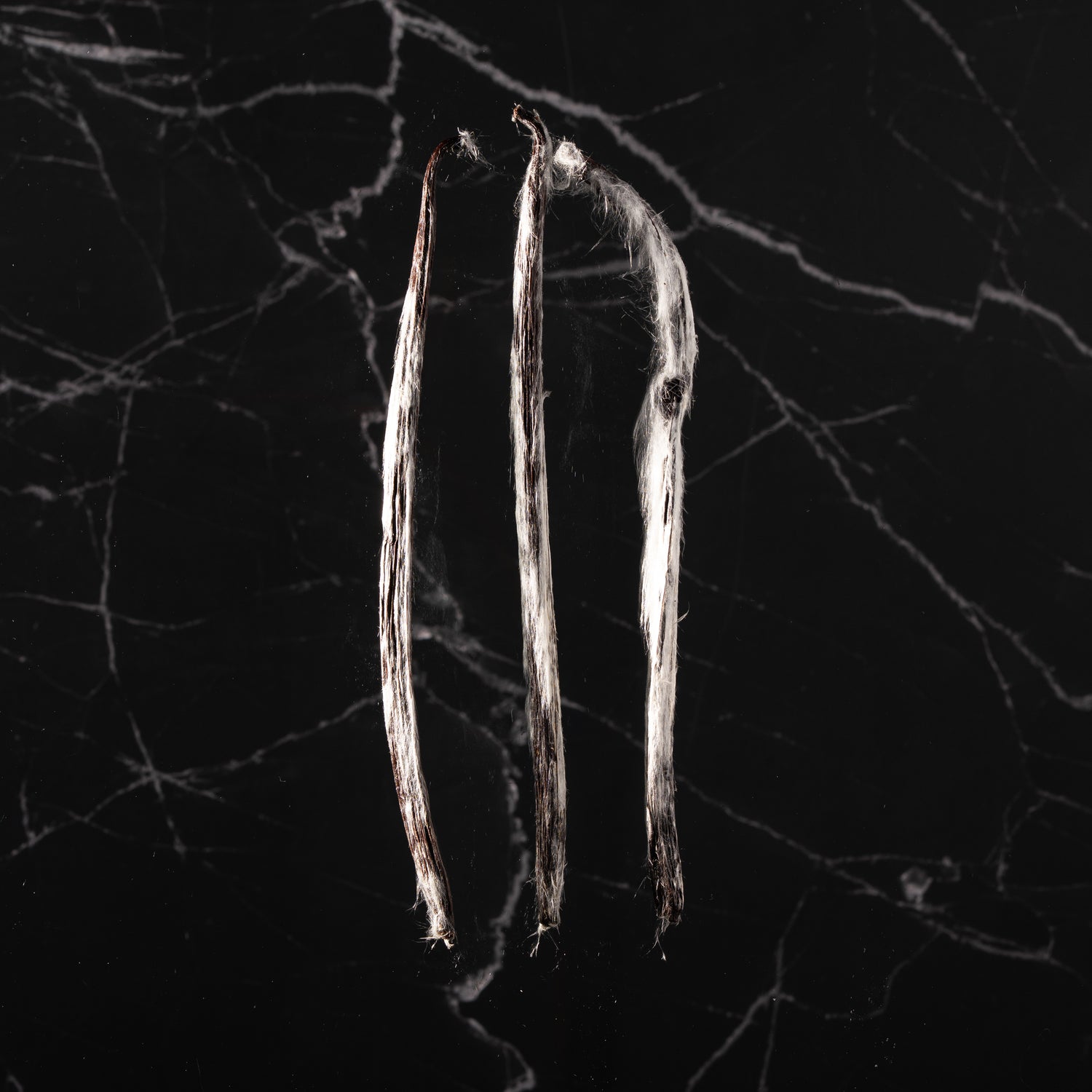 Gousse de vanille Planifolia givrée de l'Île Maurice, surnommée le diamant noir.