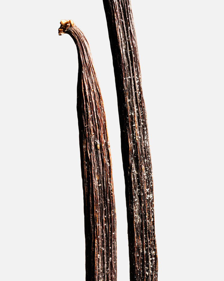 Vanille planifolia givrée de Guadeloupe