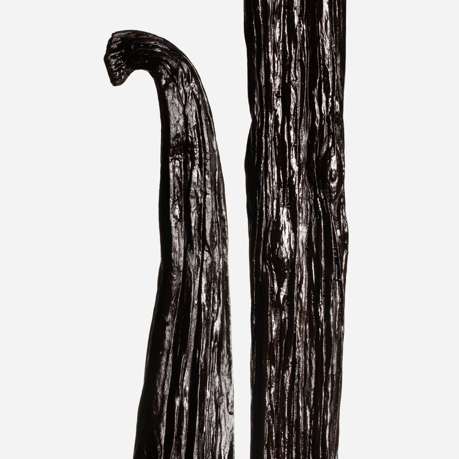 Vanille Tahitensis du terroir d'Oro en PNG, issue d'un environnement sauvage.