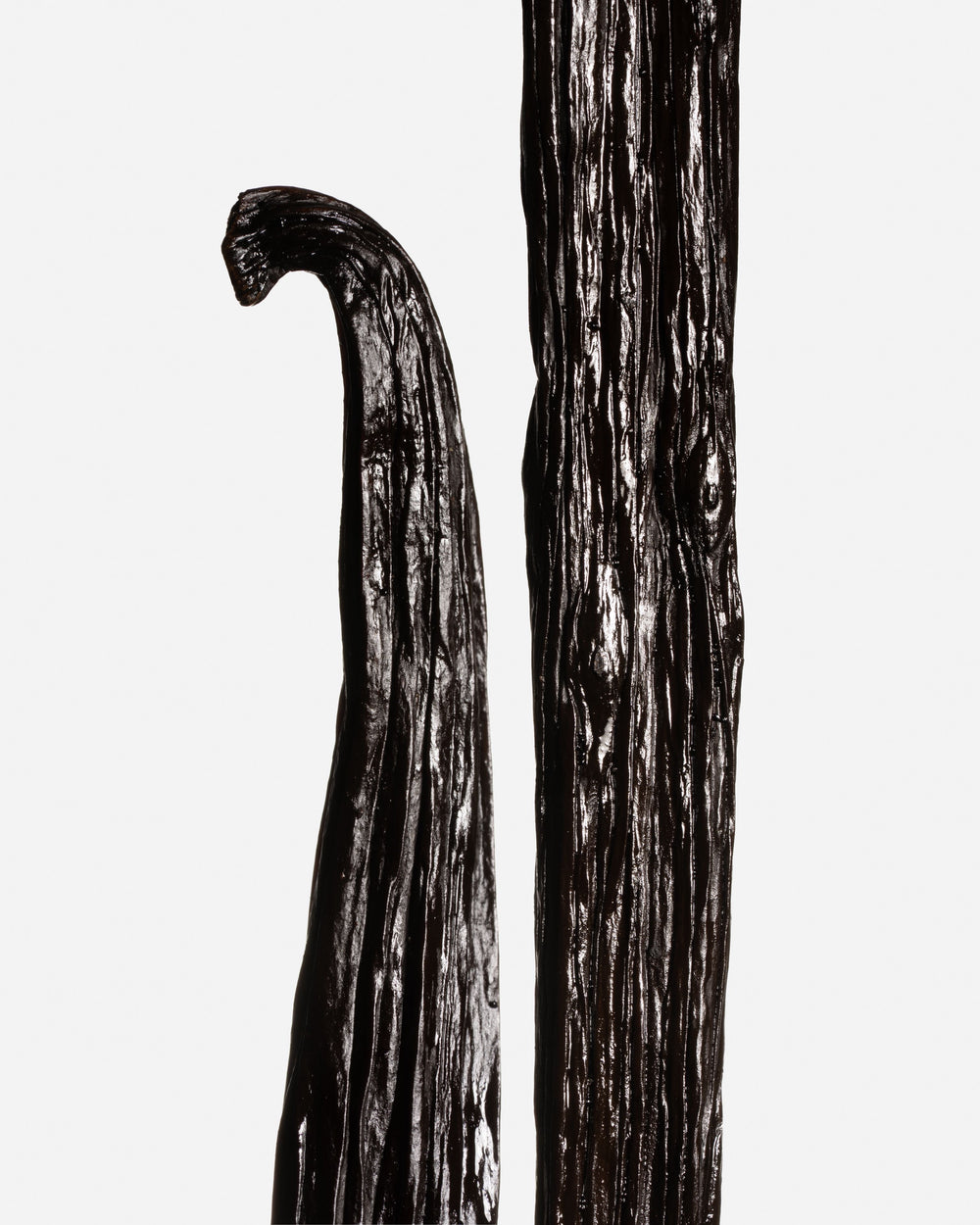 Vanille Tahitensis du terroir d'Oro en PNG, issue d'un environnement sauvage.