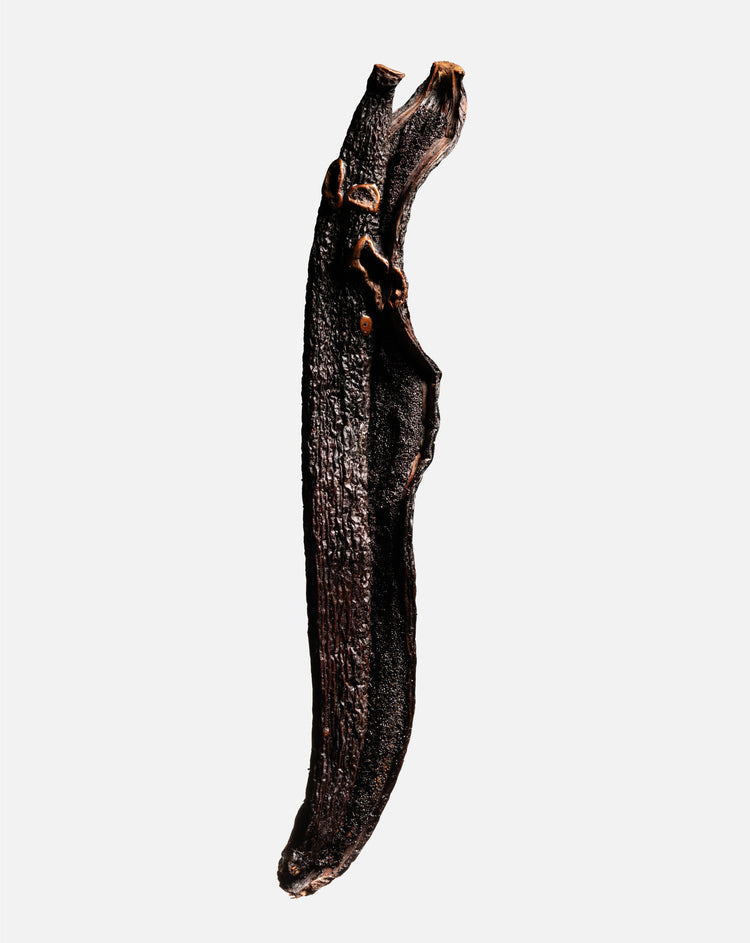 Vanille pompona du Brésil