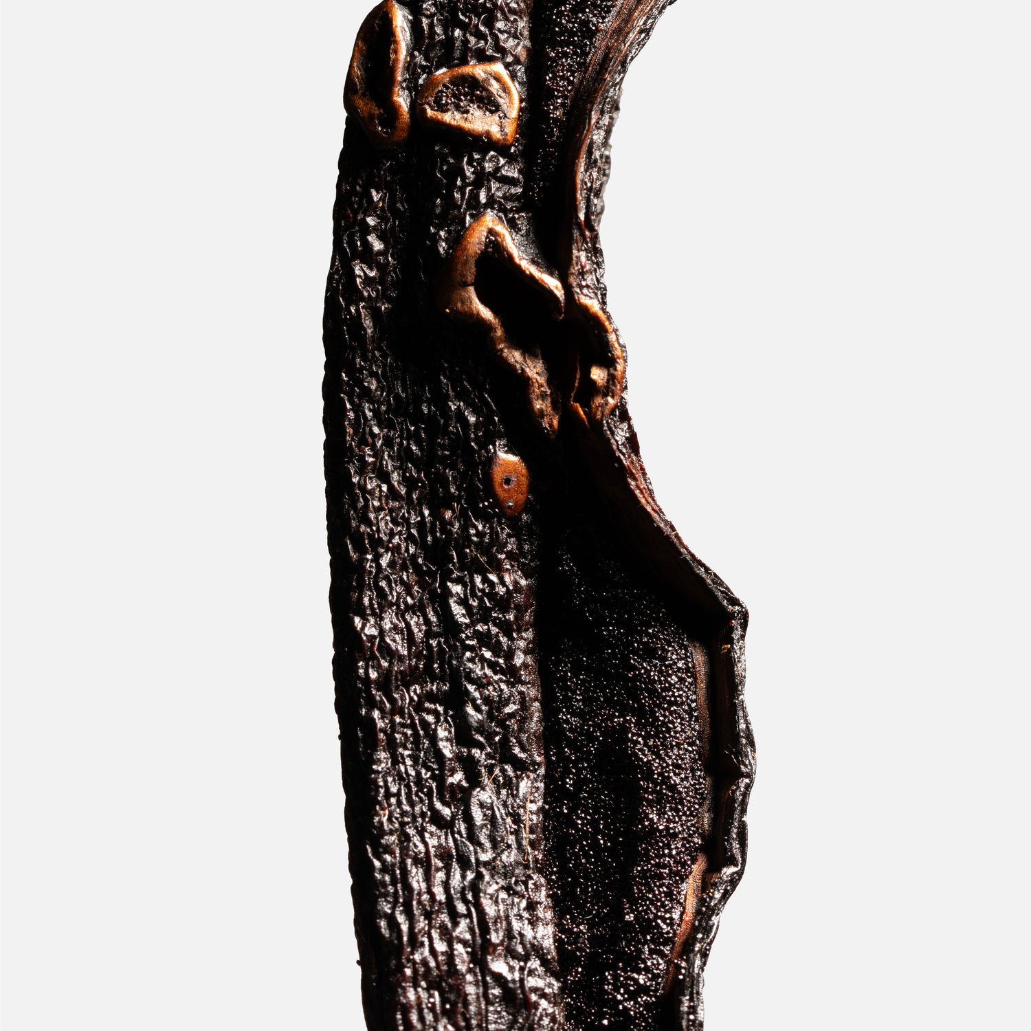 Gousse de vanille pompona du Brésil fendue en gros plan, grains apparents