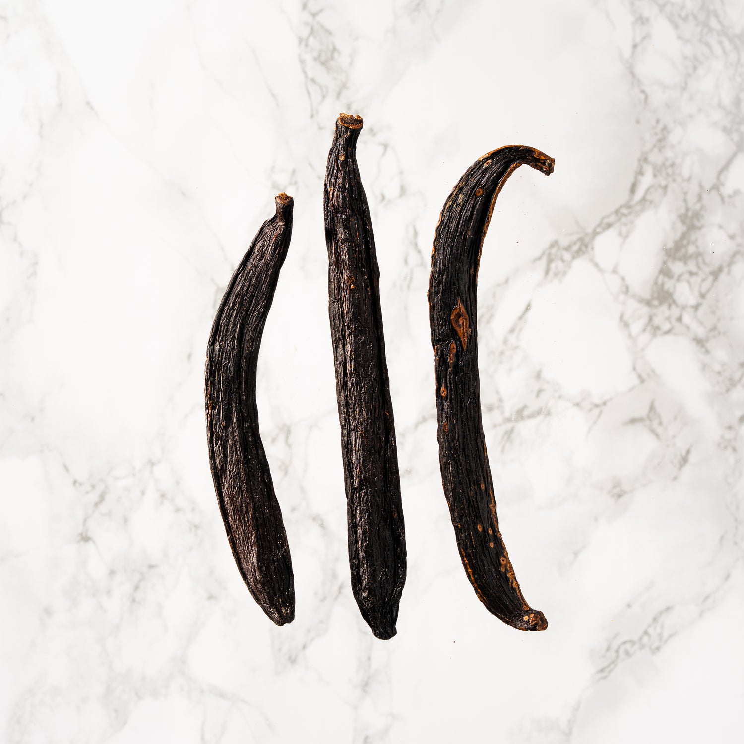 Vue d'ensemble montrant l'aspect sauvage et authentique de la vanille brésilienne.