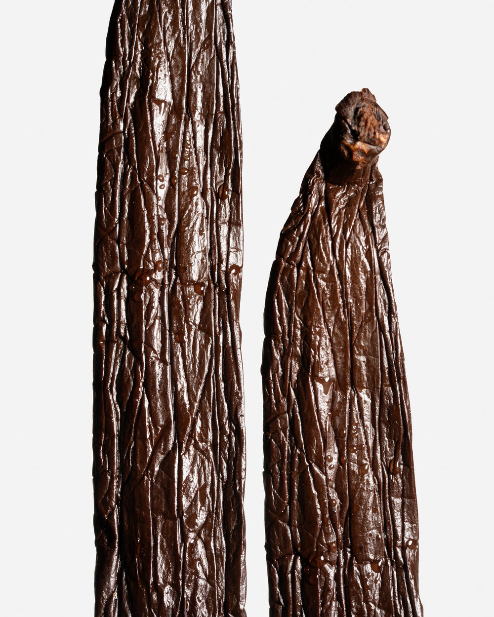 Gousse de vanille Pompona large et trapue typique du terroir colombien.