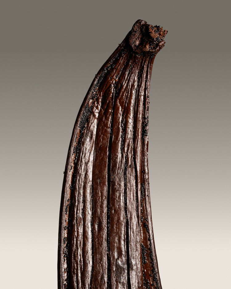 Vanille pompona fendue de Martinique