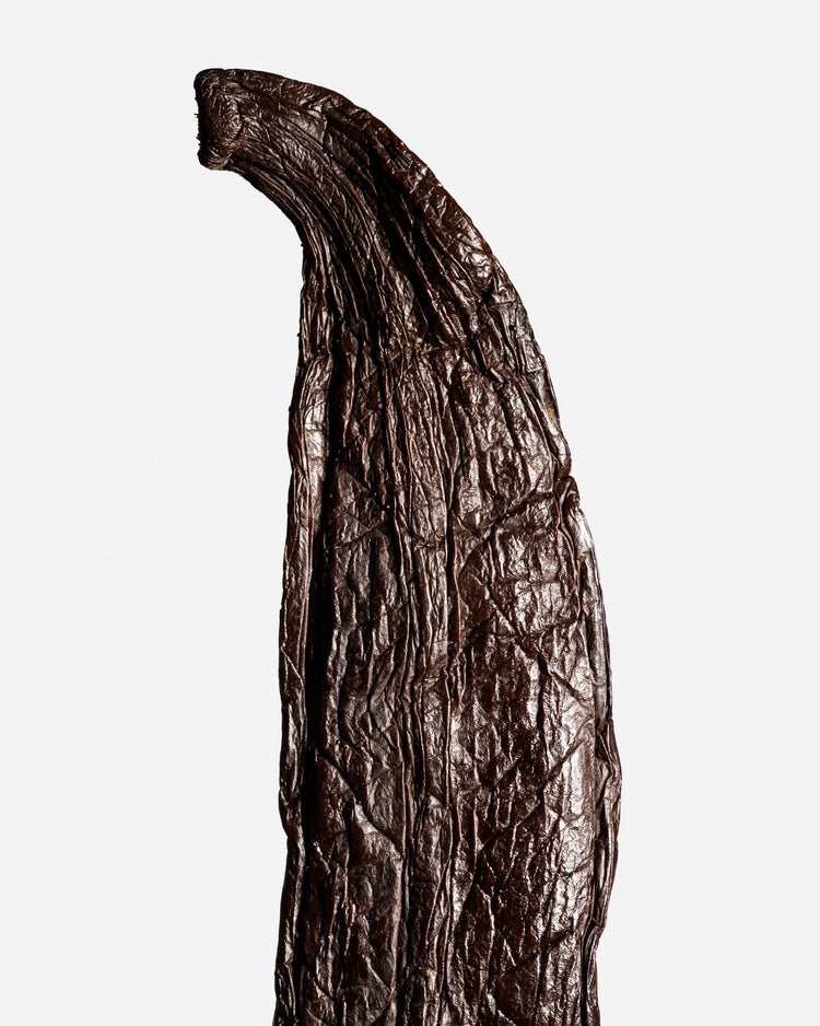 Vanille pompona du Mexique