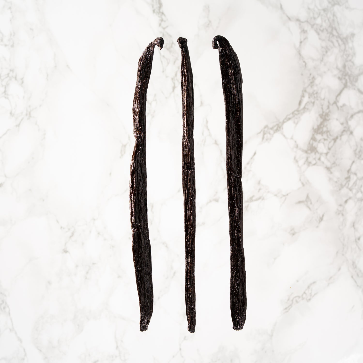 Paul Galand sélectionnant les meilleures gousses de Pompona à Madagascar.