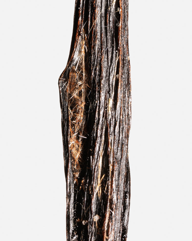 Vanille planifolia givrée de l’île de La Réunion