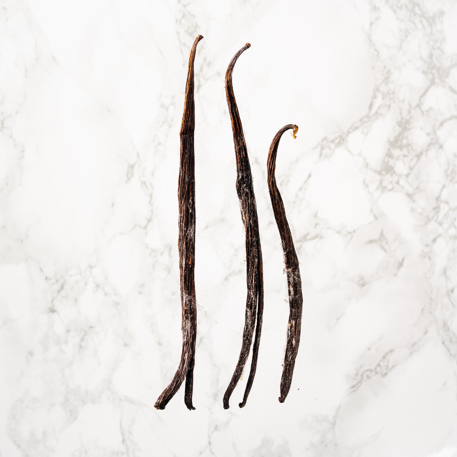 Épice rare : la vanille Planifolia givrée du nord de l'île de Sulawesi.