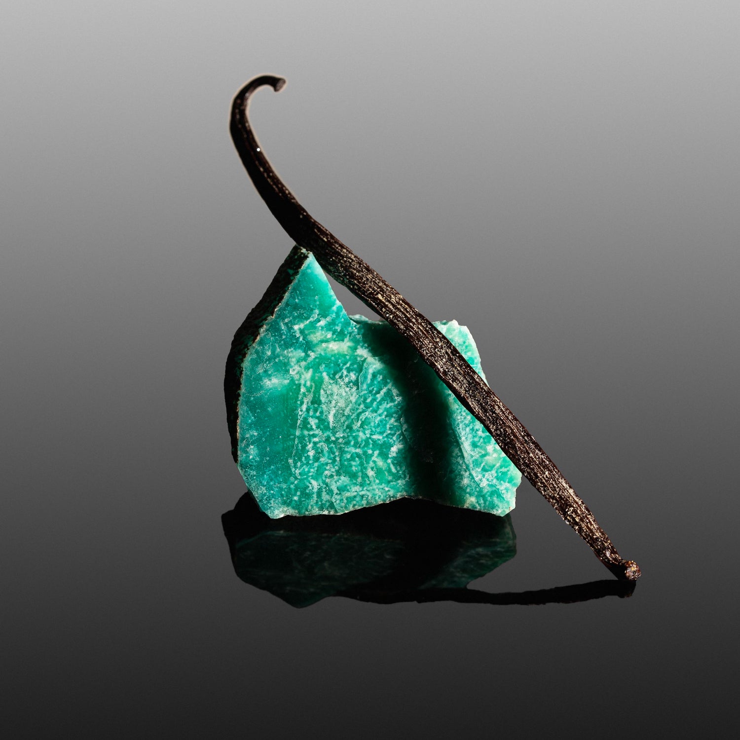 Rare vanille Planifolia givrée, un produit de terroir unique en Nouvelle-Calédonie.