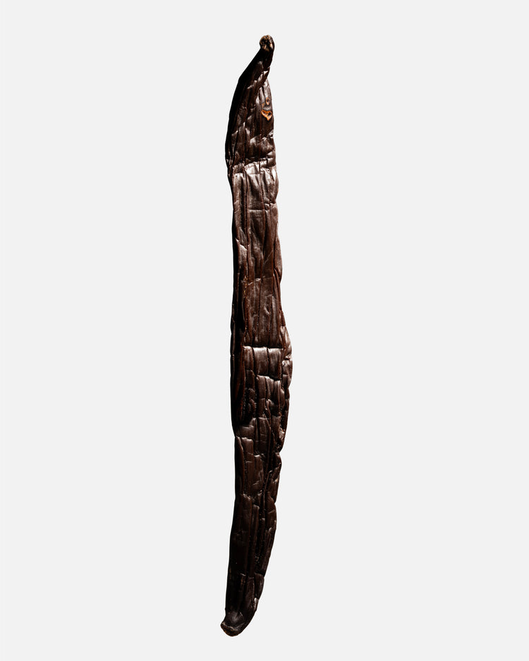 Vanille sotoarenasii de Colombie