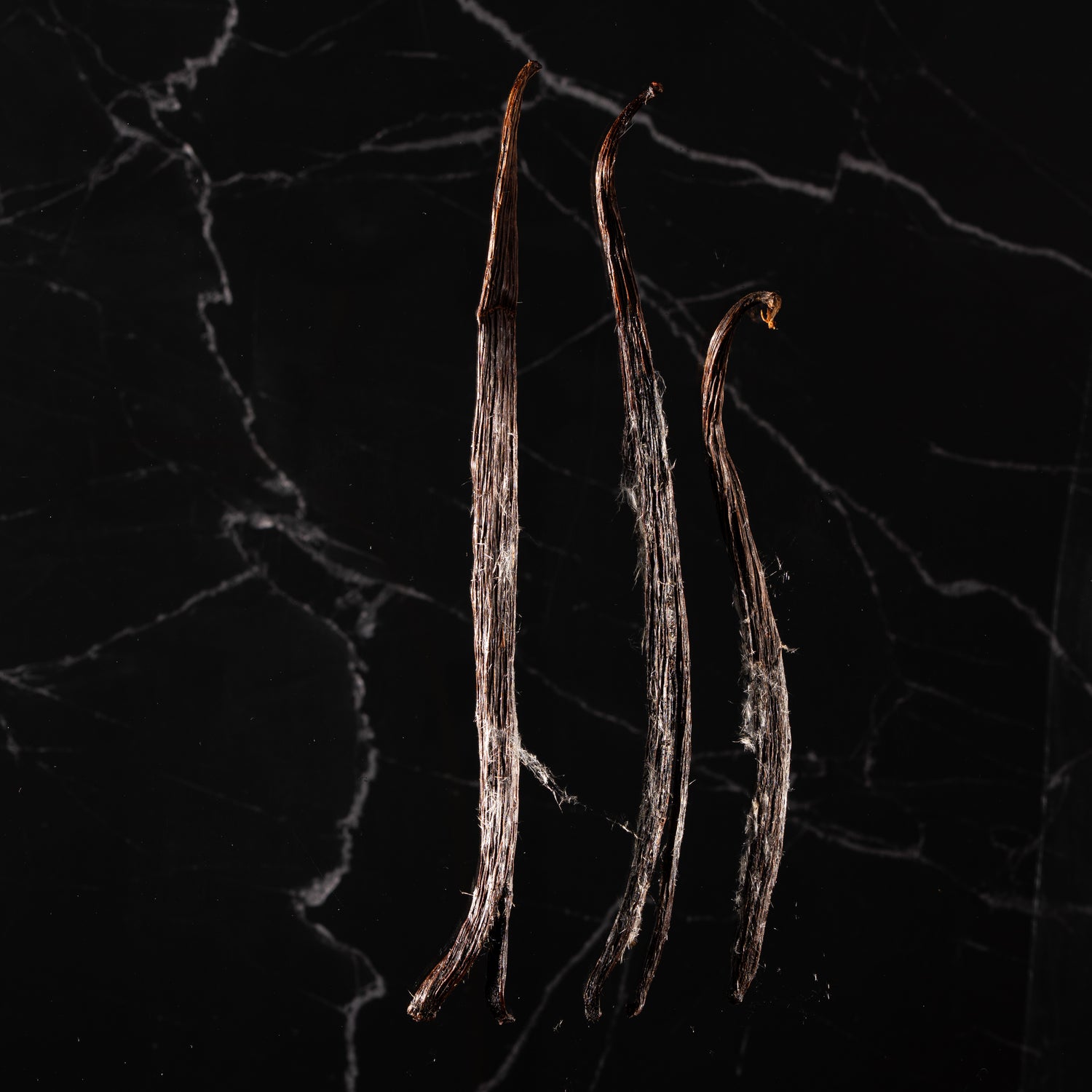 Gousse de vanille givrée de Sulawesi, un grand cru indonésien aux cristaux de vanilline naturels