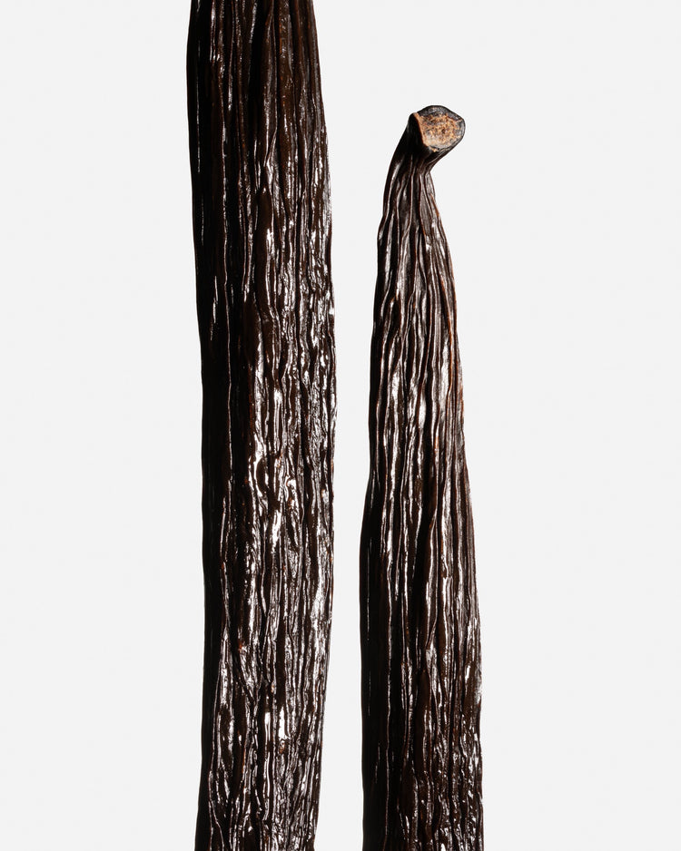 Vanille Tahitensis d'Équateur