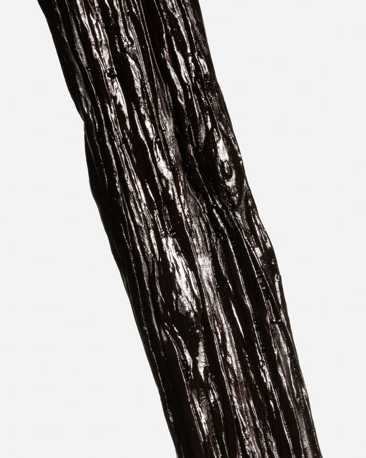 Vanille tahitensis de Papouasie Nouvelle-Guinée