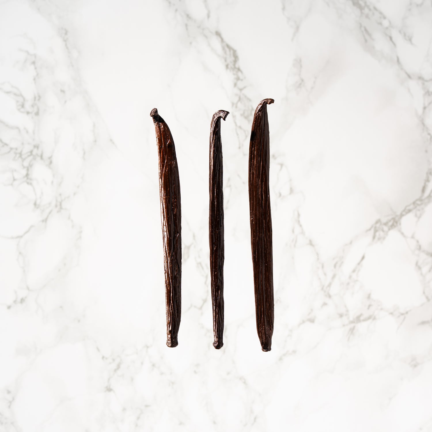 Gousse monumentale de vanille de Tahiti Raiatea type Haapape.