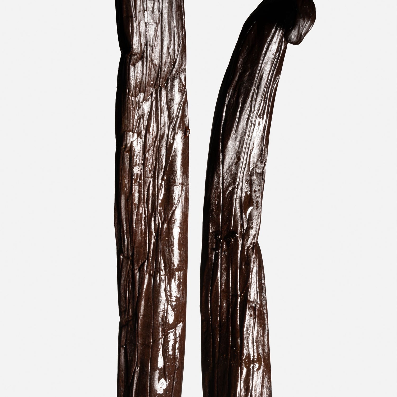 Alignement de gousses de vanille Tahiti Tahaa à la robe noire mate et satinée.