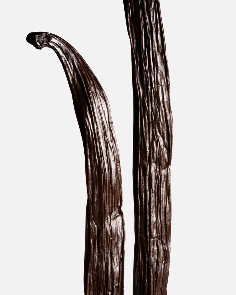 Vanille planifolia de Tanzanie