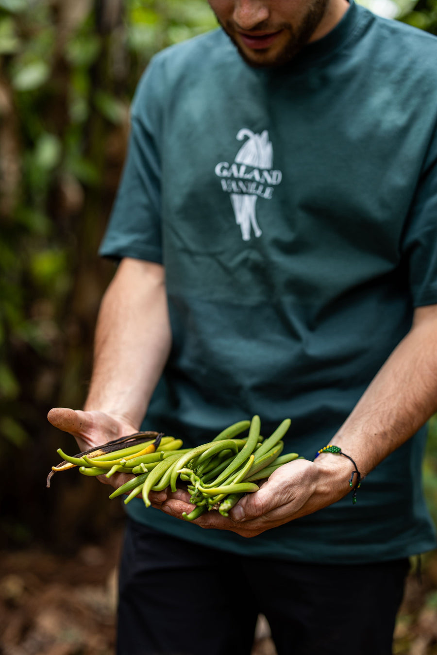 Paul Galand en Tanzanie tenant des gousses de vanille verte planifolia fraîchement récoltées, illustrant le sourcing direct de Galand Vanille.