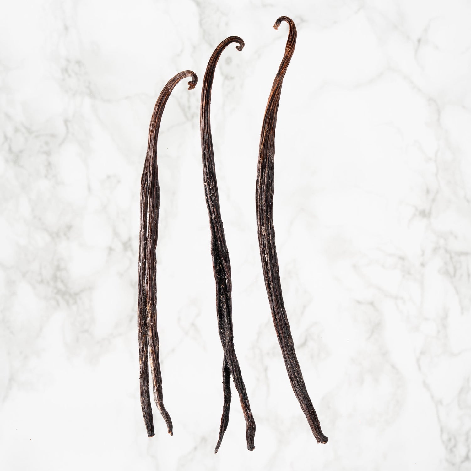 Détail des cristaux blancs sur une gousse de vanille Planifolia de La Réunion.